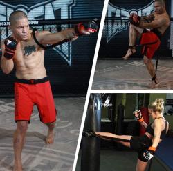 Sedco Tréninkový odporový systém Fitness/Box/MMA