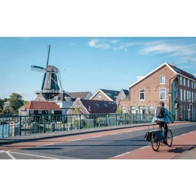 Selle Royal Avenue Athletic