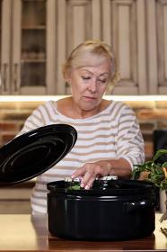 Sfinx Hrnec pr.48cm 50l