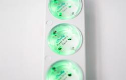 Shelly Chytrý 12A napájecí pásek 4 Gen4 Zigbee/Matter power strip