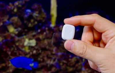 Shelly The Pill bílý univerzální WiFi/Bluetooth senzor