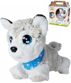 Simba Chi Chi Love Happy Husky interaktivní pejsek na baterie Zvuk Simba Chi Chi Love Happy Husky interaktivní pejsek na baterie Zvuk
