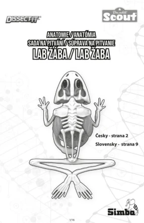 Simba Mini laboratoř Pitva, 3 druhy žába, mlok, netopýr