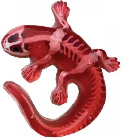 Simba Objevuj Mini laboratoř Pitva zvířátka set se slizem a nástroji 3 druhy