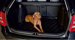 SIXTOL Vana do kufru gumová Audi Q5 (15-)