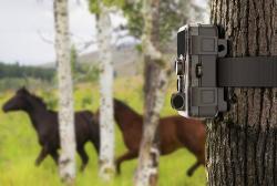 SJCAM Fotopast M50 hnědá