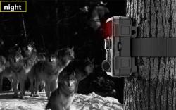SJCAM Fotopast M50 zelená Woodland