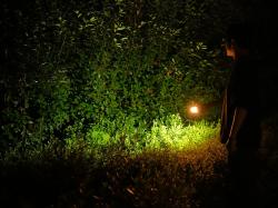 Sorbo Svítilna Stick Lamp