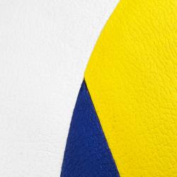 Spokey BUMP Volejbalový míč, vel. 5