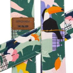 Spokey HOME JUNGLE Sada 3 posilovacích bavlněných gum + obal