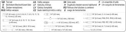 Sthor Gola sada 1/4[34] 42 ks