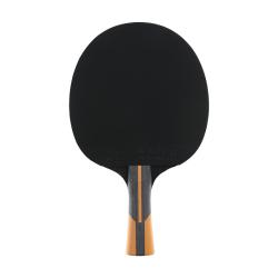 DUNLOP EVOLUTION 1000 Stolní tenis pálka