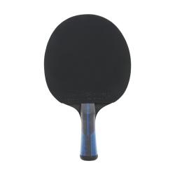 DUNLOP EVOLUTION 2000 Stolní tenis pálka