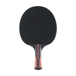 DUNLOP EVOLUTION 3000 Stolní tenis pálka