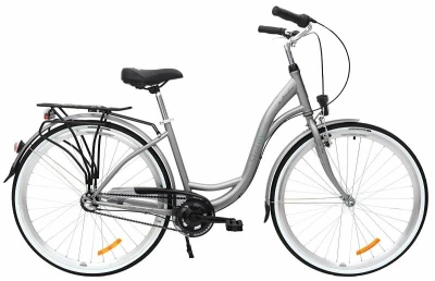 Storm Barcelona 28" 3sp. 17" matné stříbrné dámské městské kolo