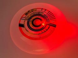 Sunflex disc Light It Up