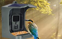 Suntek Kamera Bird feeder Camera