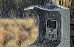 Suntek Kamera Bird feeder Camera