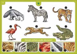 Svoboda VOLTÍK Hra Školička 3 elektronická vědomostní na baterie Světlo