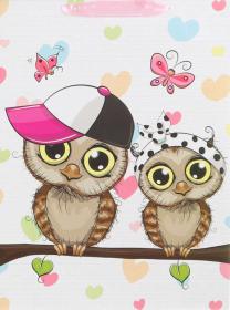 Taška dárková sovičky velká 31x42cm karton 4 druhy