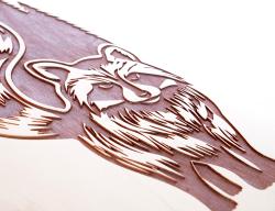 Tempish COON longboard