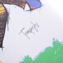 Tempish FISH-IN longboard