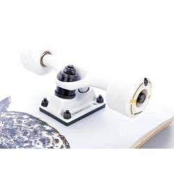 Tempish GOLDEN OWL skateboard