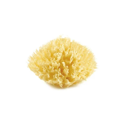 Thermobaby Mořská houba Yellow