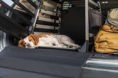 Thule ALLAX XL COMPACT přepravní klec do auta
