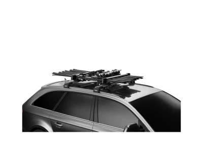 Thule TH732600 SnowPack L