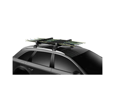 Thule TH732607 SnowPack L Black