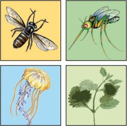 TravelSafe Bite Relief Lotion tlumící svědění