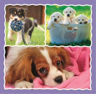 Trefl PUZZLE 3v1 Roztomilá štěňata 20x20cm skládačka 106 dílků