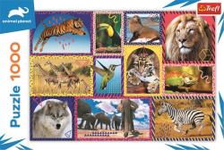 Trefl PUZZLE Animal Planet Divoká příroda 68x48cm skládačka 1000 dílků