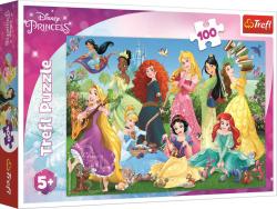 Trefl PUZZLE Disney Okouzlující Princezny 41x28cm 100 dílků skládačka Trefl PUZZLE Disney Okouzlující Princezny 41x28cm 100 dílků skládačka