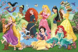 Trefl PUZZLE Disney Okouzlující Princezny 41x28cm 100 dílků skládačka