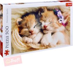 Trefl PUZZLE Foto Spící koťata 500 dílků 48x34cm skládačka 137271 Trefl PUZZLE Foto Spící koťata 500 dílků 48x34cm skládačka 137271