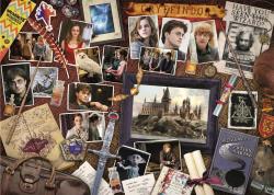 Trefl PUZZLE Harry Potter Bradavické vzpomínky 48x34cm 500 dílků skládačka