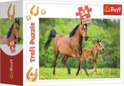 Trefl PUZZLE Koně foto mini 20x13cm skládačka 54 dílků 4 druhy