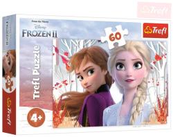 Trefl Puzzle Kouzelný svět Anny a Elsy Frozen 2 (Ledové Království) 33x22cm 60 dílků Trefl Puzzle Kouzelný svět Anny a Elsy Frozen 2 (Ledové Království) 33x22cm 60 dílků