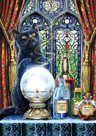 Trefl PUZZLE Magic Collection Čarodějnický učeň 48x68cm skládačka 1000 dílků