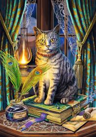 Trefl PUZZLE Magic Collection Kniha stínů 48x68cm skládačka 1000 dílků