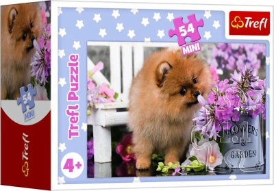 Trefl PUZZLE Mini Zvířátka mláďata 20x13cm 54 dílků skládačka 4 druhy