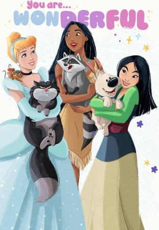 Trefl PUZZLE Plus Kids Disney Princess 27x20cm 30 dílků s plakátem