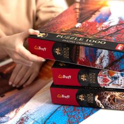 Trefl PUZZLE PREMIUM Photo Odyssey Eiffelova věž 68x48cm 1000 dílků