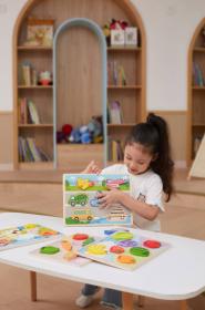 Viga DŘEVO Vkládačka baby puzzle vkládací na desce doprava 7 dílků