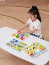 Viga DŘEVO Vkládačka baby puzzle vkládací na desce doprava 7 dílků