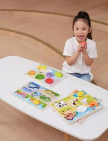 Viga DŘEVO Vkládačka baby puzzle vkládací na desce doprava 7 dílků