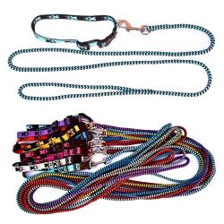 Vodítko a obojek Vodítko a obojek