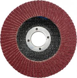 Vorel Kotouč brusný lamelový 115 mm P40
